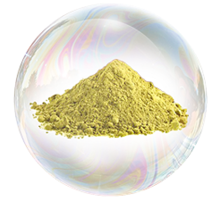 MSM 