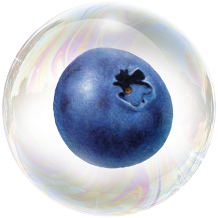 Blueberry